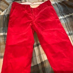 Polo corduroy pants
